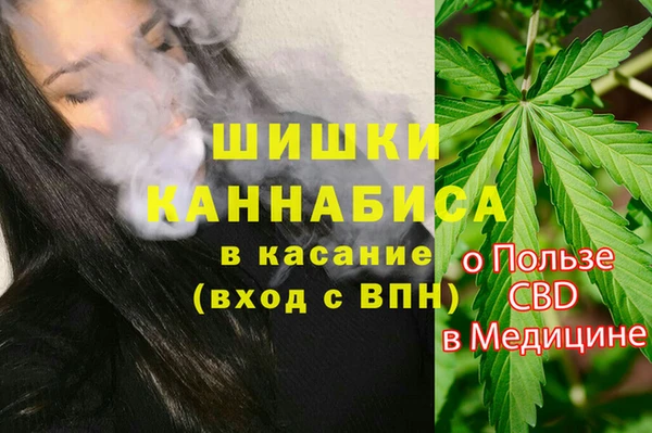 прущие грибы Богородск