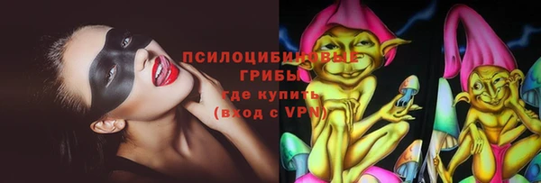 прущие грибы Богородск