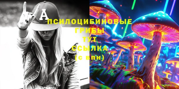круглые Богородицк