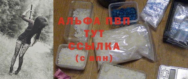 гидра Белокуриха