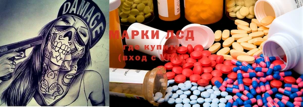 прущие грибы Богородск