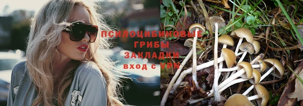прущие грибы Богородск