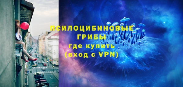 прущие грибы Богородск