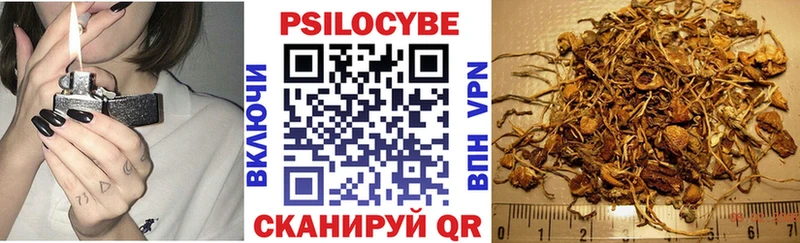 Псилоцибиновые грибы мицелий  цена наркотик  Верхотурье 